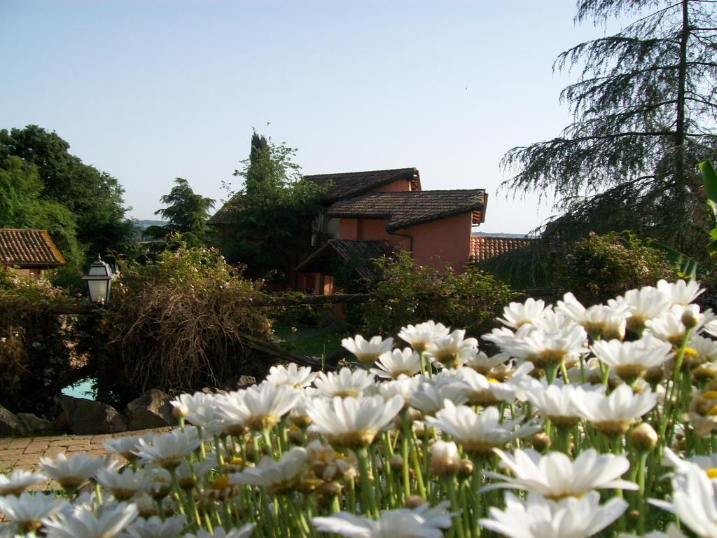 Antica Pietrara B&B Formello Luaran gambar