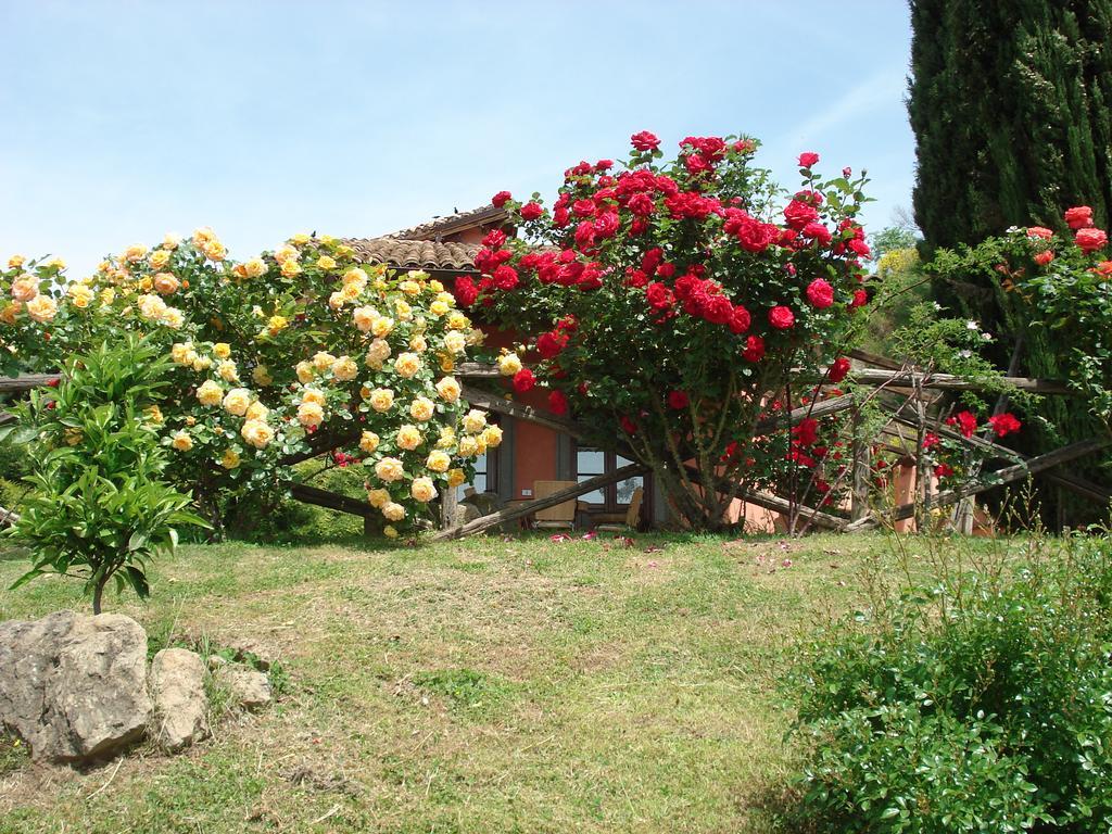 Antica Pietrara B&B Formello Luaran gambar